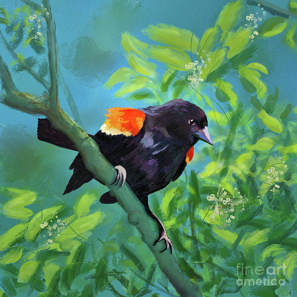 Bird Poster featuring the digital art Red-Winged Blackbird On Display by Lois Bryan