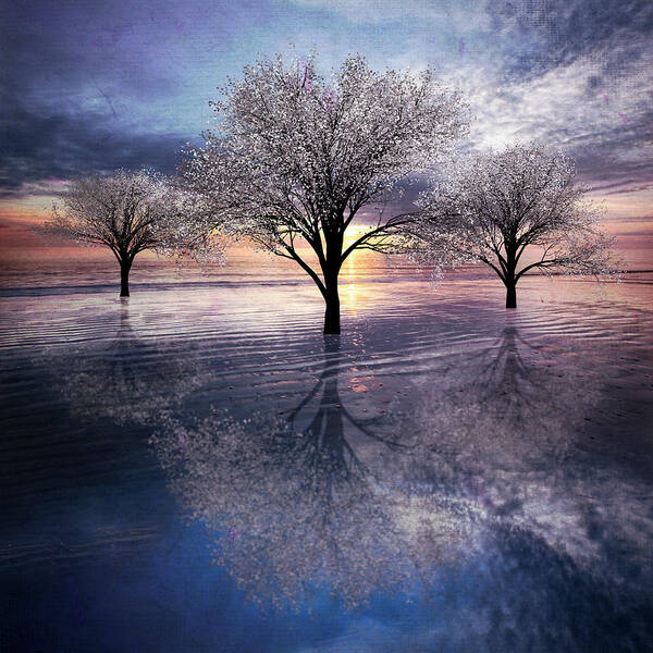 Clouds Poster featuring the photograph Reflections of Color Lavender Dream by Debra and Dave Vanderlaan