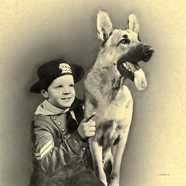 2d Poster featuring the digital art Rin Tin Tin - Drawing FX by Brian Wallace