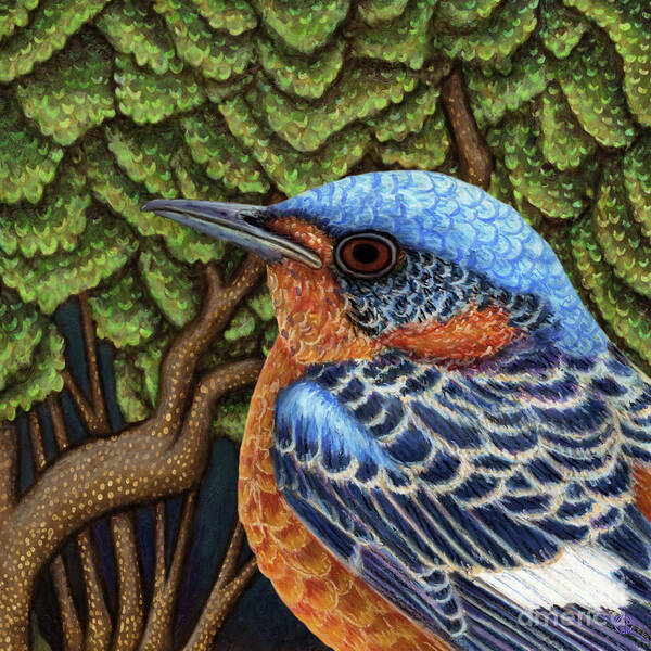 Bird Poster featuring the painting Rock Thrush Forest by Amy E Fraser