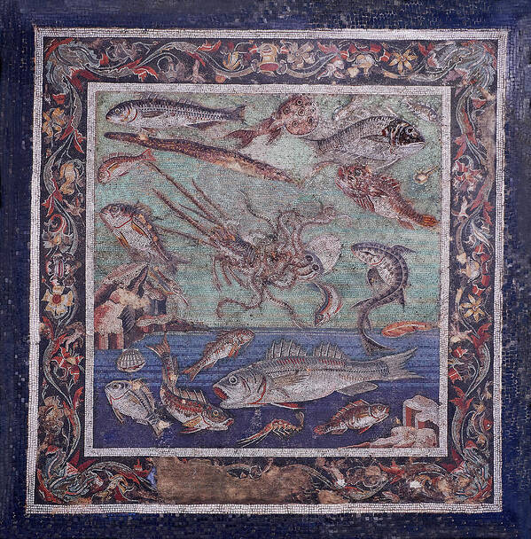 Seascape Poster featuring the photograph Roman mosaic of fish from Pompei - Naples Archaeological Musum Italy by Paul E Williams