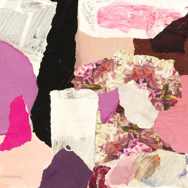 Collage Poster featuring the mixed media 0085-Rose Opal by Anke Classen