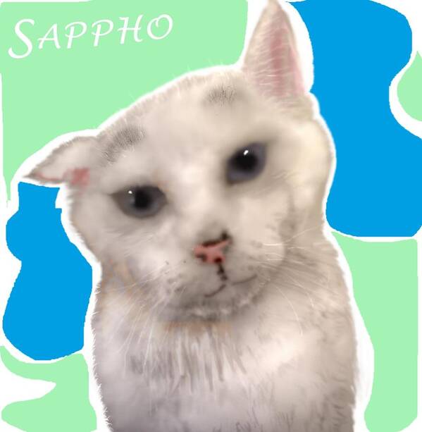 White Cat Sappho Poster featuring the mixed media Sappho the super cat by Pamela Calhoun