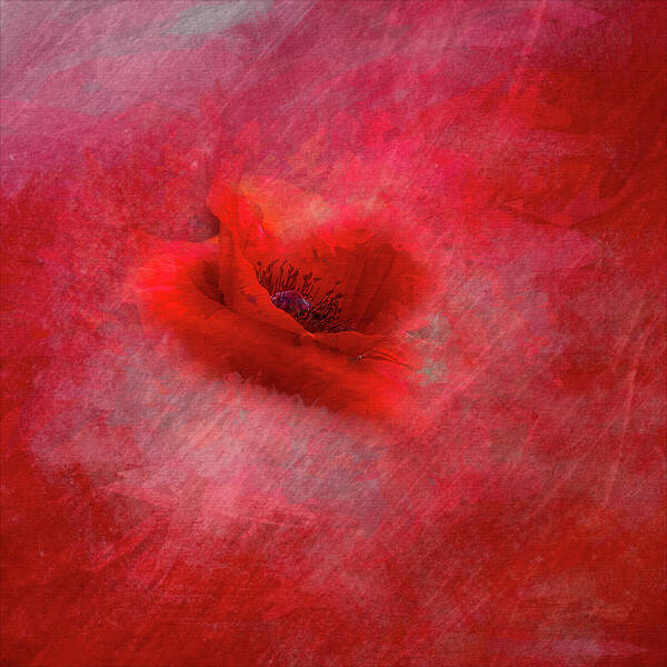 Poppy Poster featuring the photograph Seeing RED-Muted Love by Cheri Freeman