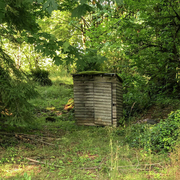 Wood Shed Poster featuring the photograph Shed at Joy Lake by Grey Coopre