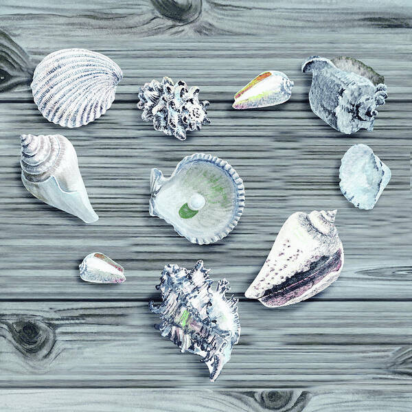 Shell Heart Poster featuring the painting Silver Gray Seashells Heart On Ocean Shore Wooden Deck Beach House Art by Irina Sztukowski