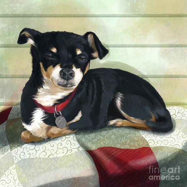 Chihuahua Poster featuring the mixed media Sleepy Scout Chihuahua by Shari Warren