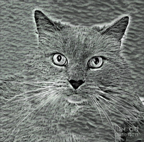 Cat Poster featuring the mixed media Smokey by PurrVeyor Com by dep Arts