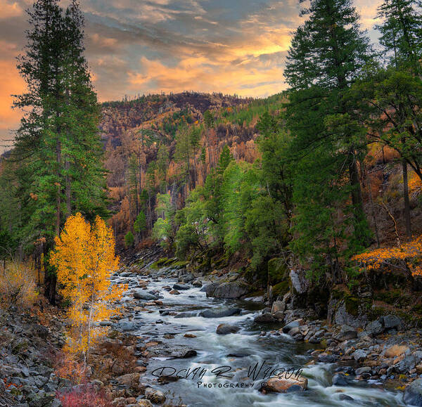 Landscape Poster featuring the photograph South Fork in the Fall by Devin Wilson