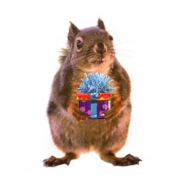 Squirrels Poster featuring the digital art Squirrel with Gift - Square by Peggy Collins