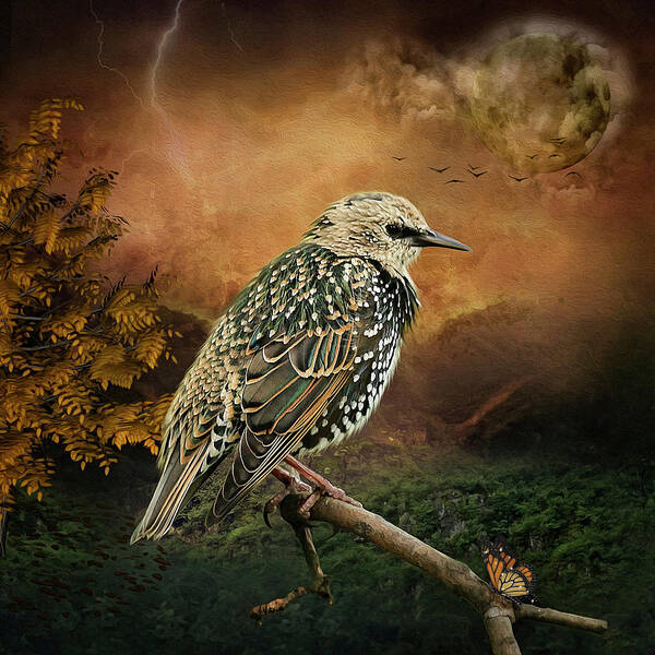 Starling Poster featuring the digital art Starling by Maggy Pease
