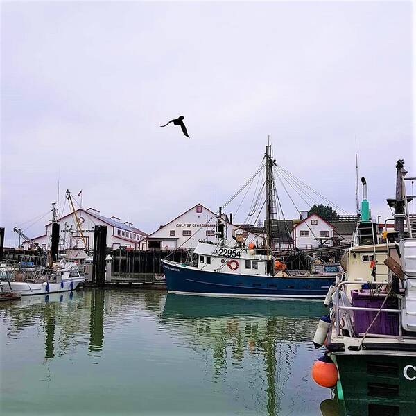 Richmond Poster featuring the photograph Steveston Fishing Village by James Cousineau