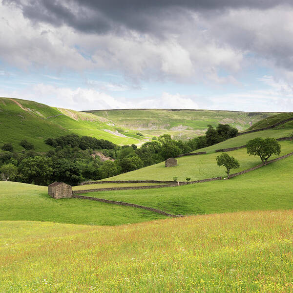 England Poster featuring the photograph Summer Meadow, Yorkshire Dales,England, UK by Sarah Howard