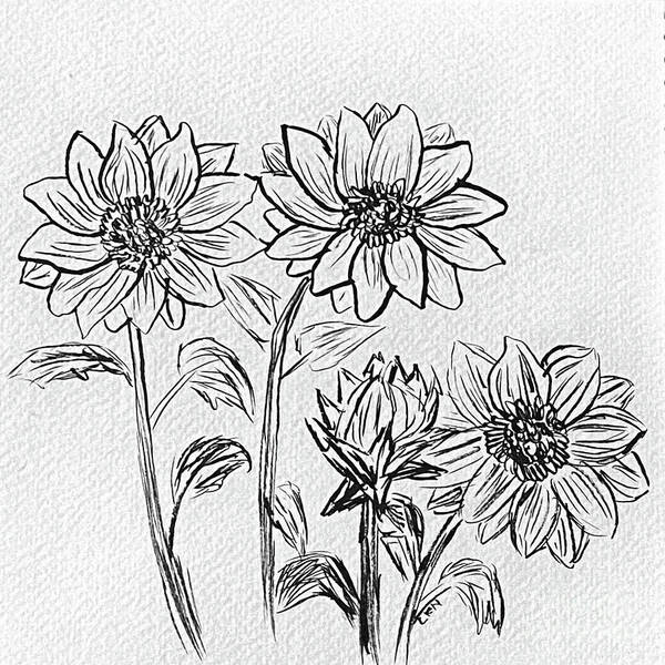 Sunflowers Poster featuring the drawing Sunflower Sketch by Lisa Neuman