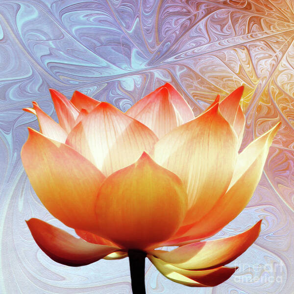 Lotus Poster featuring the digital art Sunshine Lotus by Jacky Gerritsen