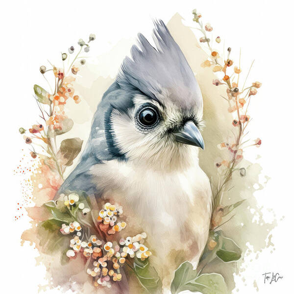 Tufted Titmouse Poster featuring the painting Sweet Tufted Titmouse by Tina LeCour