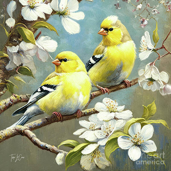 American Goldfinches Poster featuring the painting The Lovely Goldfinches by Tina LeCour