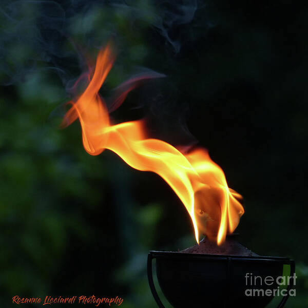 Exotic Poster featuring the photograph Torch Series V by Rosanne Licciardi