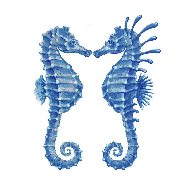 Seahorses Poster featuring the painting Two Cute Watercolor Seahorses In Blue by Irina Sztukowski