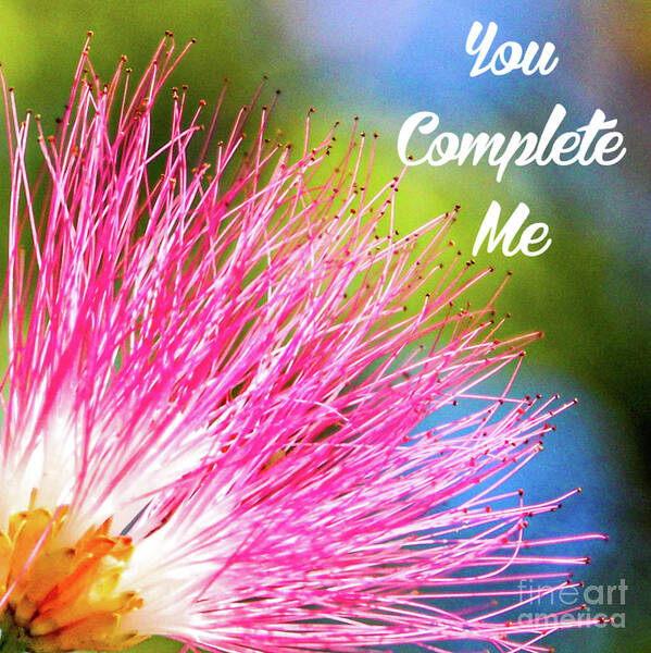 Valentines Poster featuring the photograph Valentine's Day You Complete me by Joanne Carey