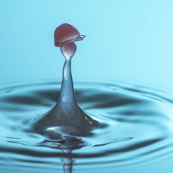 Waterdrop Poster featuring the photograph Water drop falling onto column of water by Steven Heap