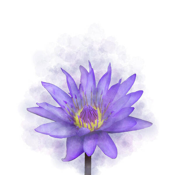 Flower Poster featuring the mixed media Waterlily Purple Flower 7 by Lucie Dumas