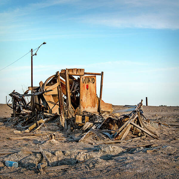 Bombay Beach Poster featuring the photograph Wikid by Carmen Kern
