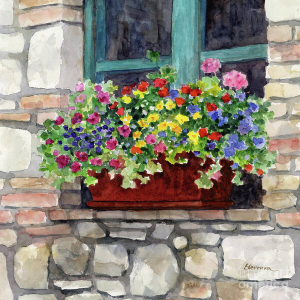 Window Poster featuring the painting Window Flower Pot - In Bloom by Hailey E Herrera