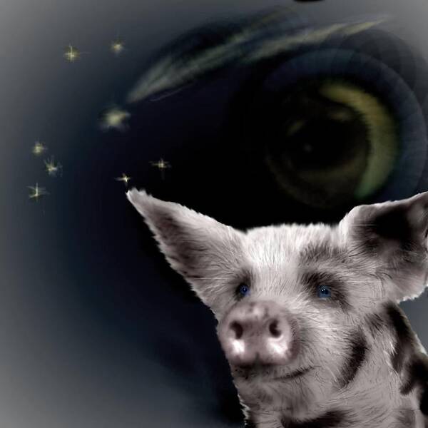 Pig Stars Shooting Stars Blue Eyed Poster featuring the mixed media Wishing Piggy by Pamela Calhoun