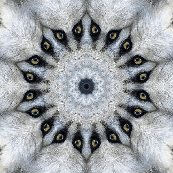 Wolf Eyes Poster featuring the mixed media Wolf Eyes Mandala Kaleidoscope Medallion Flower by Mercury McCutcheon