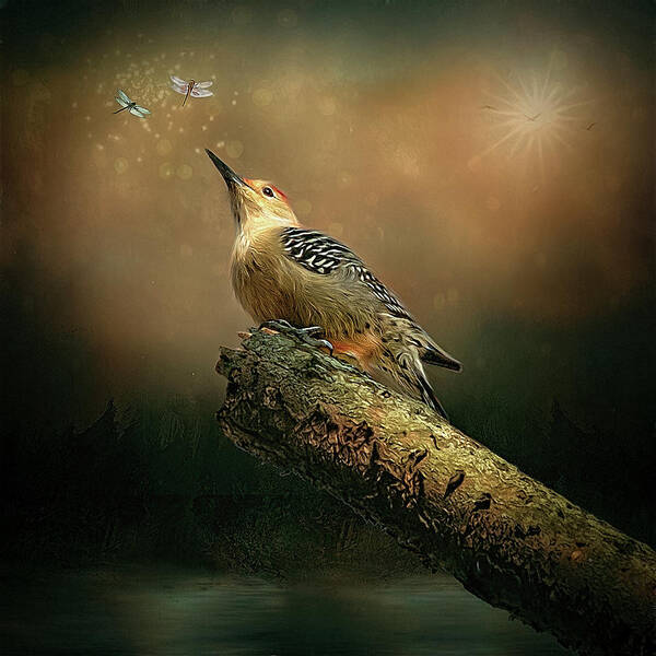 Woodpecker Poster featuring the digital art Woodpecker by Maggy Pease