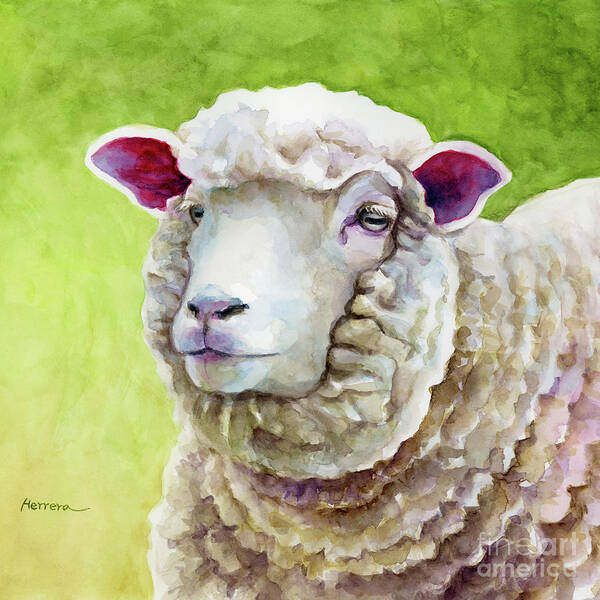Sheep Poster featuring the painting Woolly Sheep - Contemplation by Hailey E Herrera