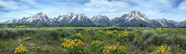 Grandtetons Poster featuring the photograph Grand Tetons Panoramic by Phil Koch