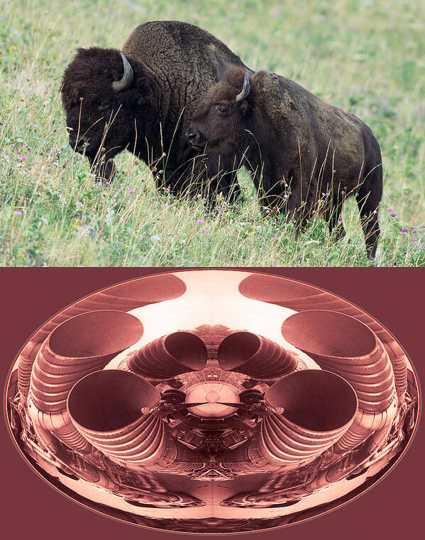 Bison Poster featuring the photograph Bison Propulsion 2014 by James Warren