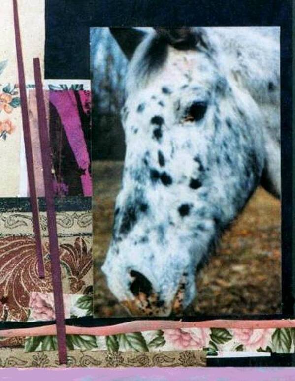 Horse Poster featuring the mixed media Blotter by Mary Ann Leitch