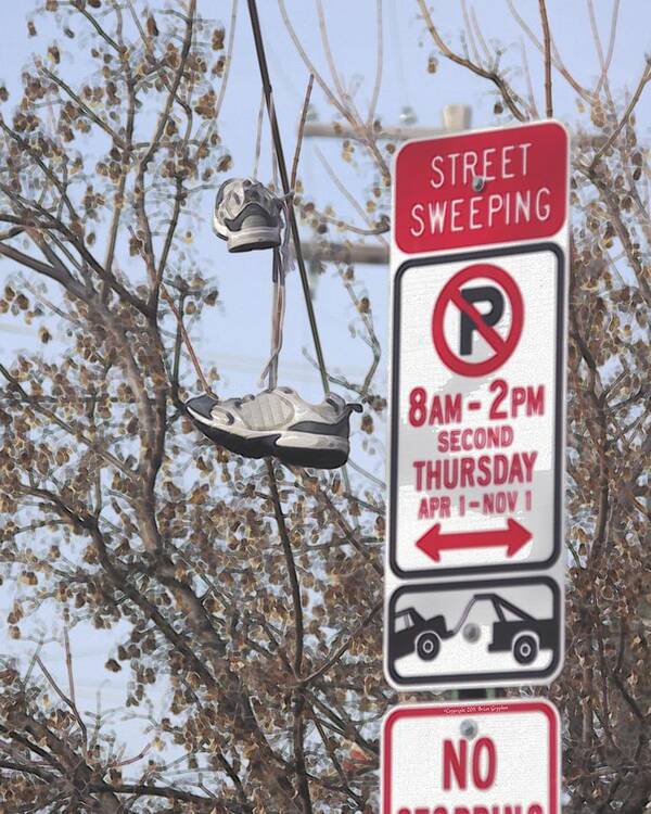 Shoe Poster featuring the photograph Shoefiti 19070 by Brian Gryphon