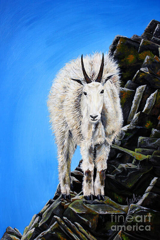 Mountain Goat Poster featuring the painting Cliffhanger by Teshia Art