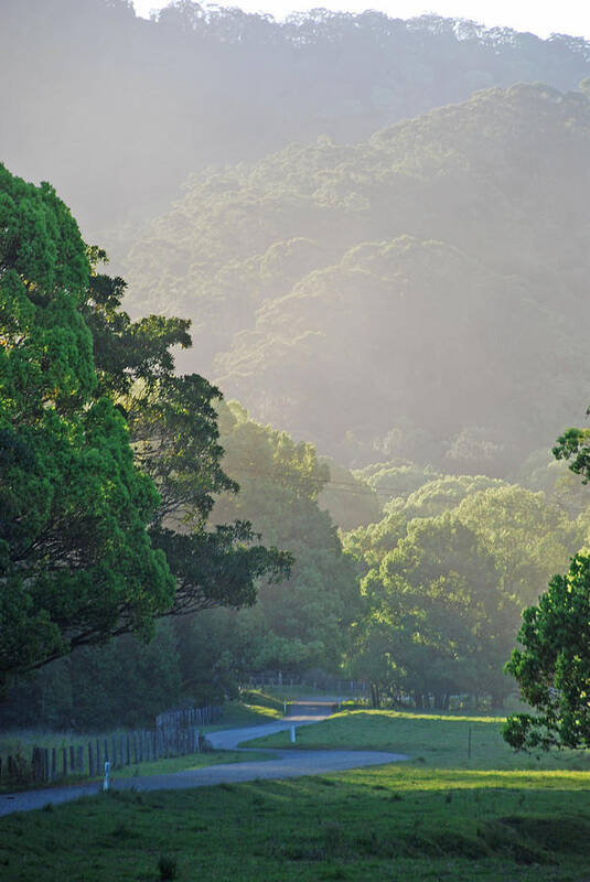 Australia Poster featuring the photograph Country Road by Ankya Klay