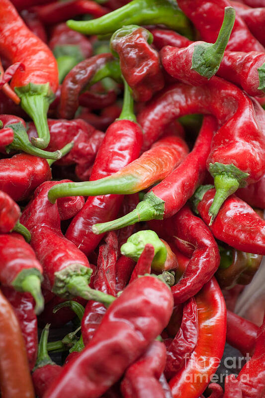 China Poster featuring the photograph Fresh red chili peppers at local street market in Dunhuang China by Matteo Colombo