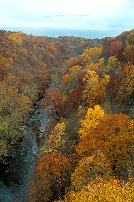 Fall Foliage Poster featuring the photograph Highbridge highs by Trish Hale