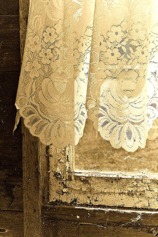 Lace Poster featuring the photograph Old Lace by Linda McRae