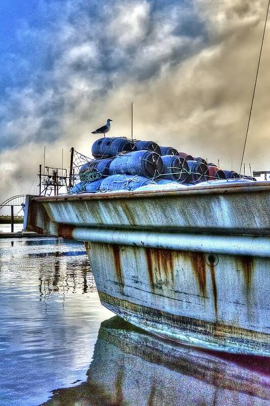 Oregon Poster featuring the photograph Seagull On Stern 2384 by Jerry Sodorff