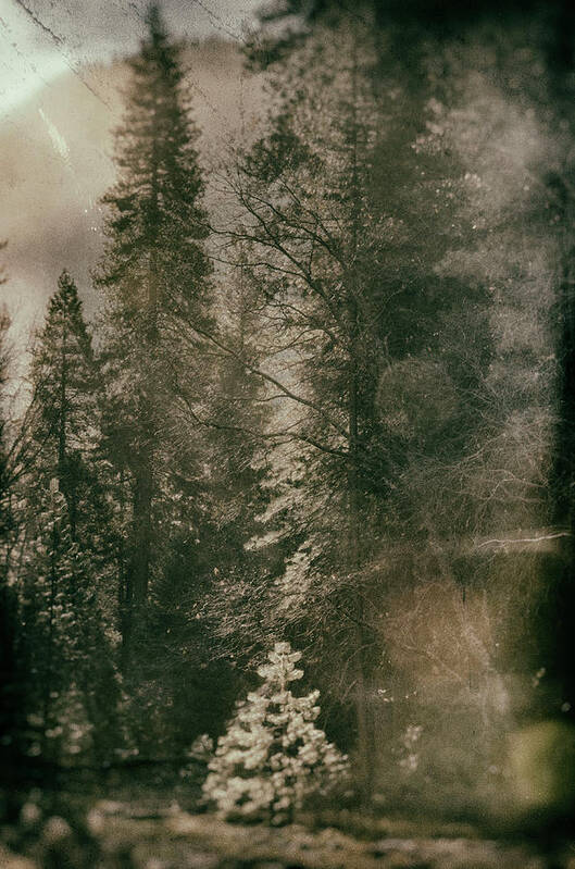 Yosemite Poster featuring the photograph Yosemite Valley Collodion by Lawrence Knutsson