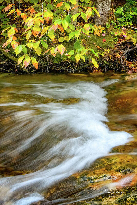 New England Poster featuring the photograph Little Pemi Cascade #0158 by Dan Beauvais