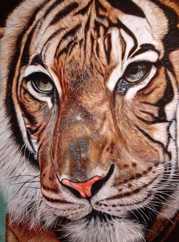 Tiger Poster featuring the painting Eyes of a tiger by Mark Baker