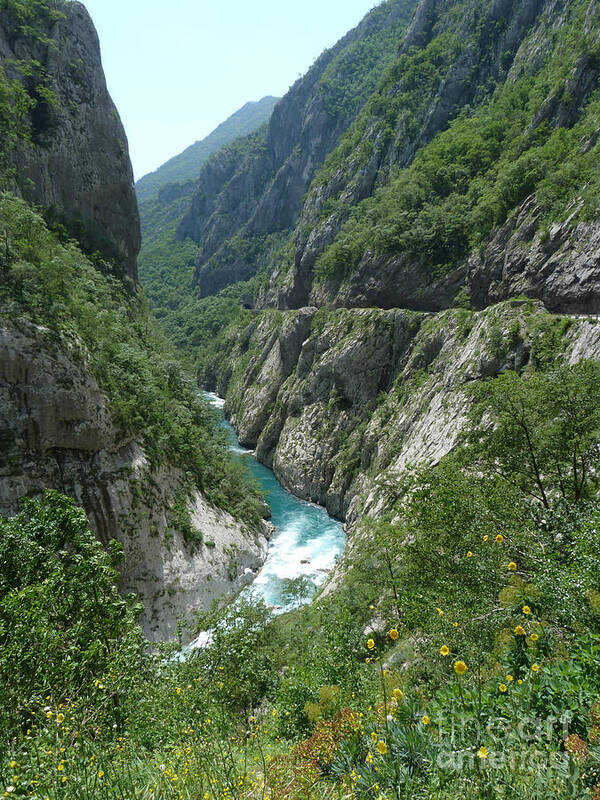 Moraca River Poster featuring the photograph Moraca River Canyon - Montenegro by Phil Banks