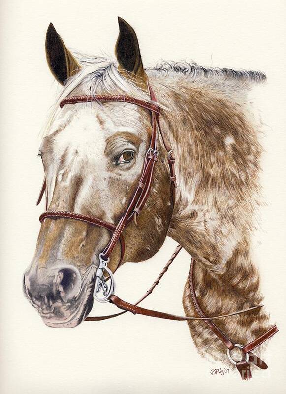 Horses Poster featuring the drawing Te by Rosellen Westerhoff