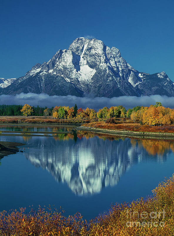 Dave Welling Poster featuring the photograph Morning Cloud Layer Oxbow Bend In Fall Grand Tetons National Park by Dave Welling