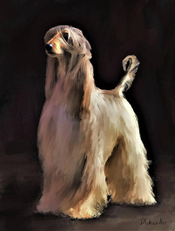 Afghan Hound Poster featuring the digital art Afghan Hound #2 by Diane Chandler