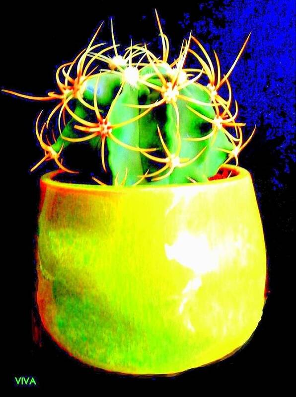Cactus Contemporary Poster featuring the photograph Contemporary Cactus by VIVA Anderson